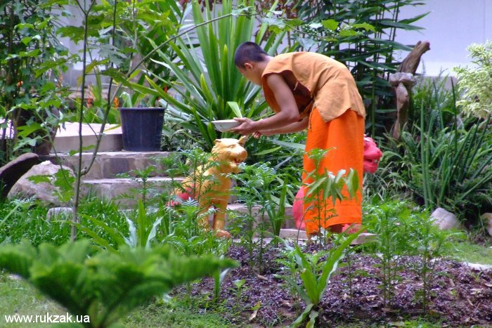 Лаосский монах за работой