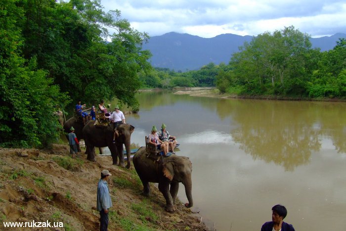 Запланированная остановка каравана слонов на берегу реки