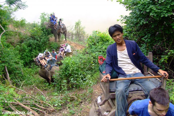 Караван слонов с туристами идёт через джунгли Лаоса