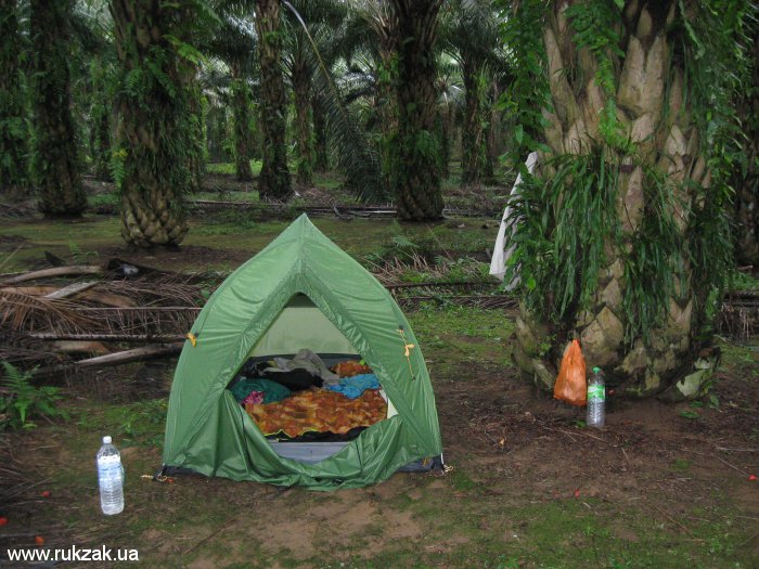 Наша палатка в малайзийском пальмовом саду