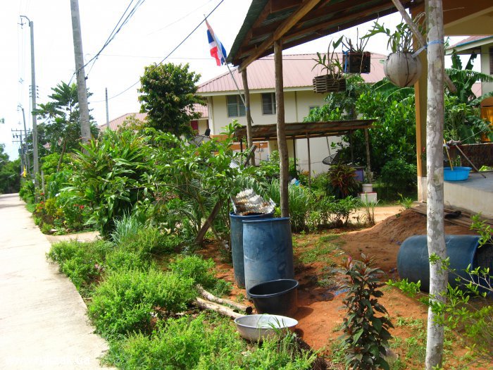 Дома местных жителей острова Пи Пи Дон, Таиланд