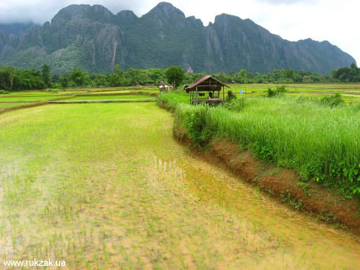 Лаос. Рисовые поля на фоне живописных гор