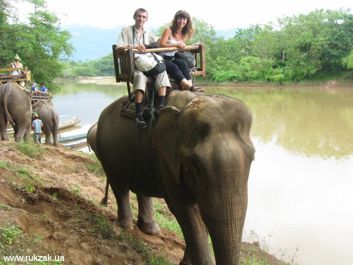 Фото на слоне на берегу реки